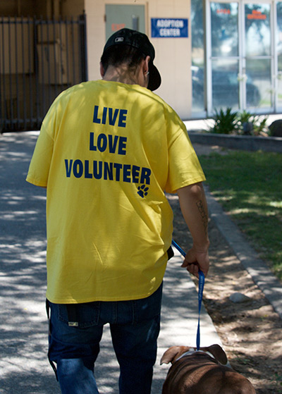 Volunteer At Animal Shelter – Central California SPCA, Fresno, CA Volunteer At Animal Shelter – Central California SPCA, Fresno, CA