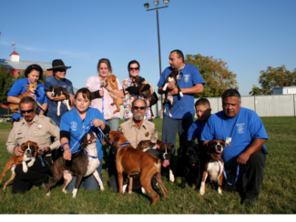 12 Animals Rescued From Severe Neglect 3