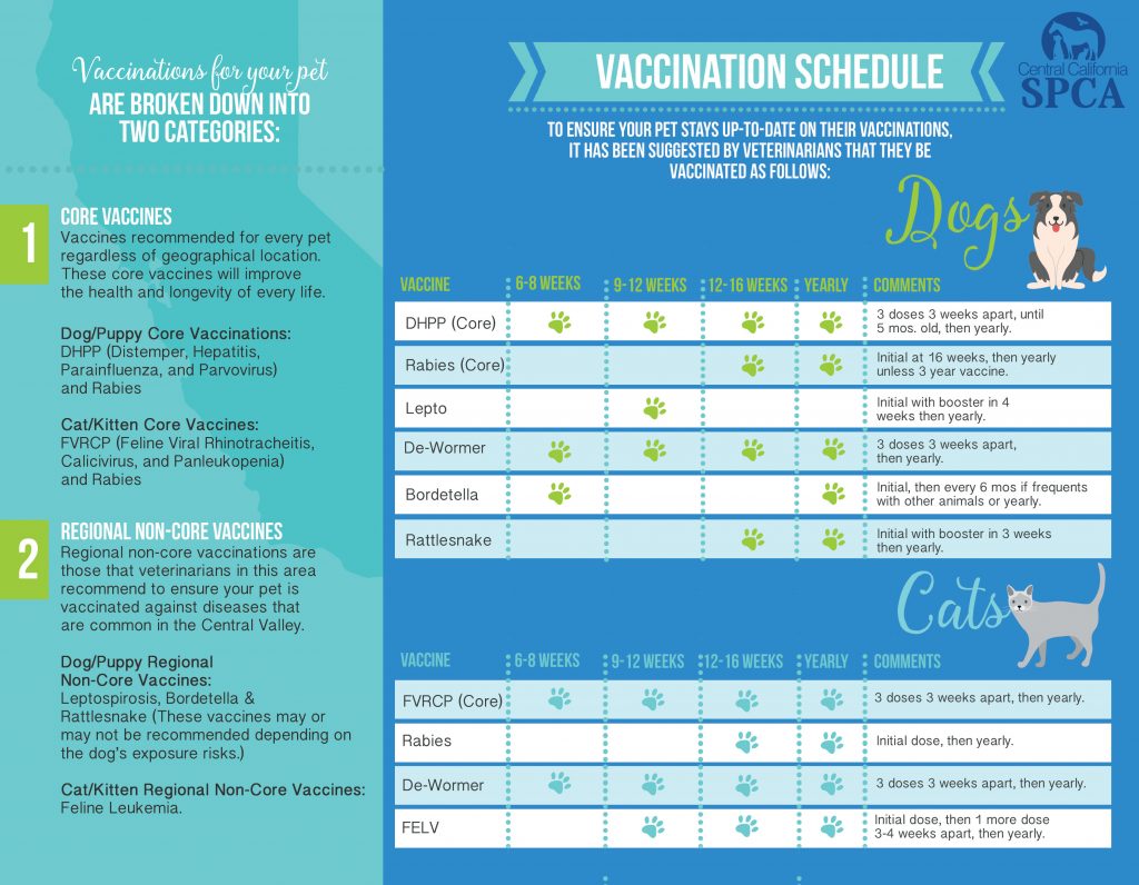Vaccination Schedule For Dogs And Cats Central California SPCA