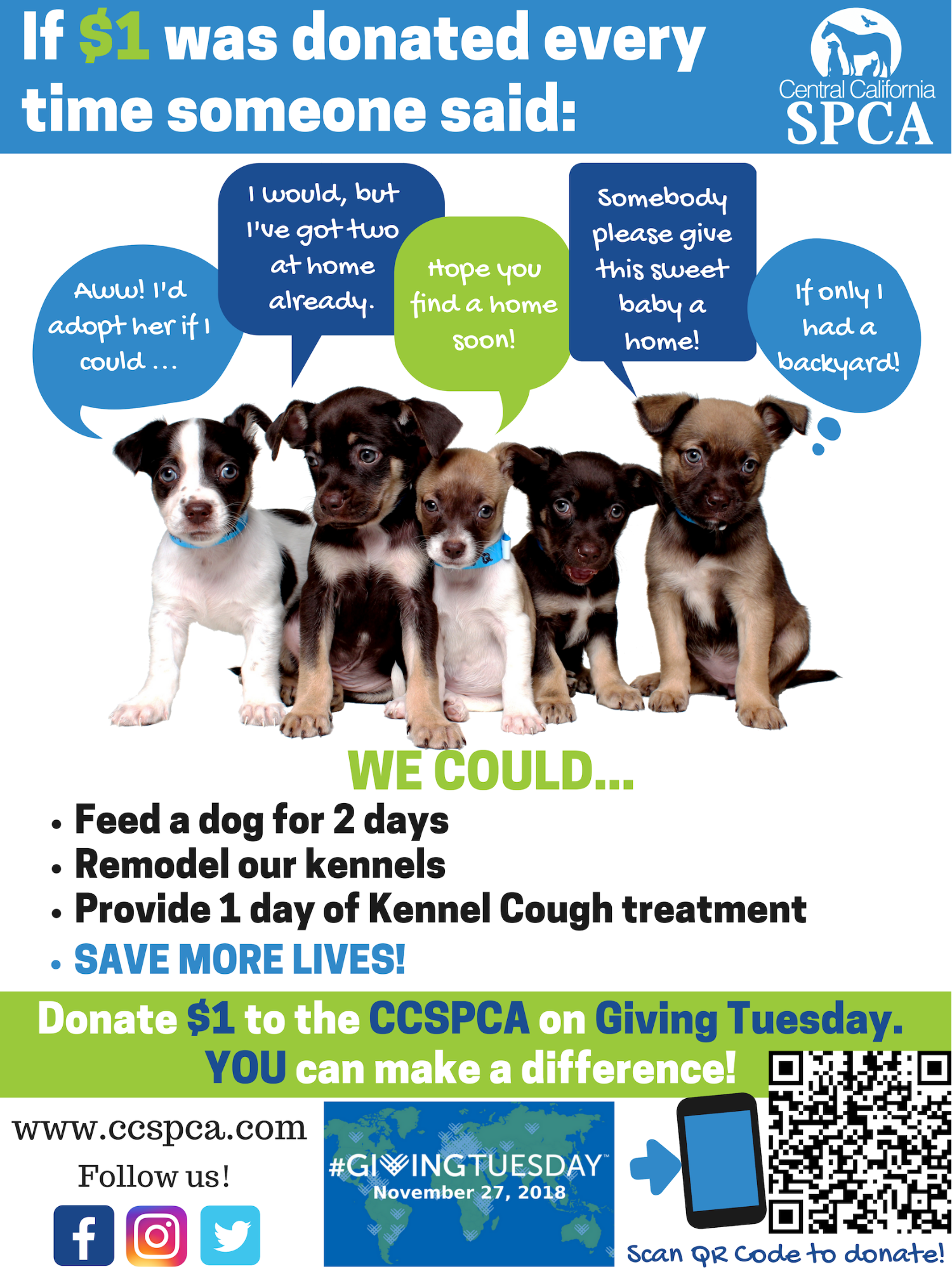 spca free adoption day 2018