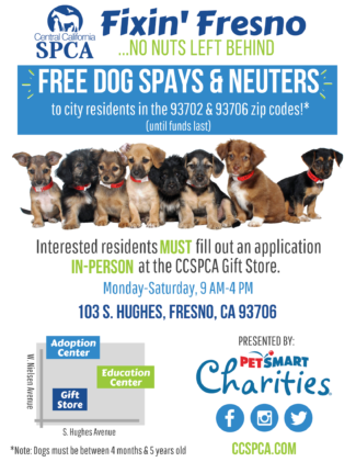 Few Spots Still Open in “Fixin’ Fresno” Spay:Neuter Grant 2