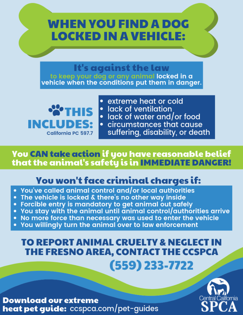 Dogs in Locked Cars Central California SPCA, Fresno, CA