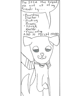Bookmark and Video Contest Winners Awarded