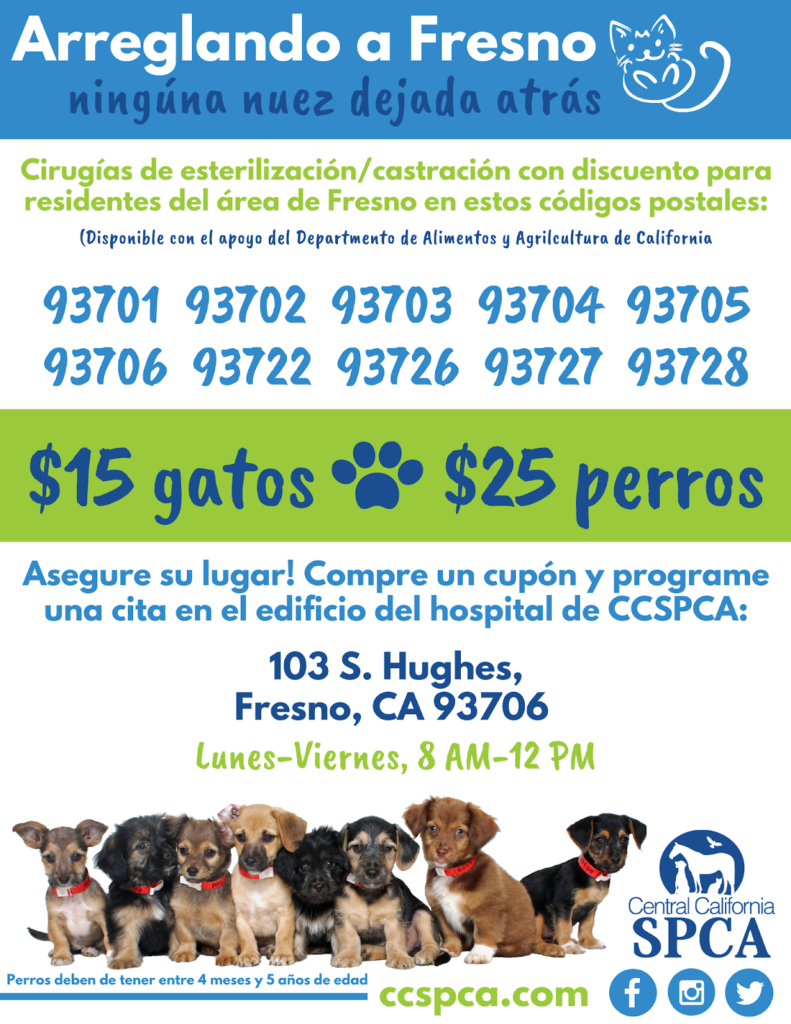 cheap spay and neutering