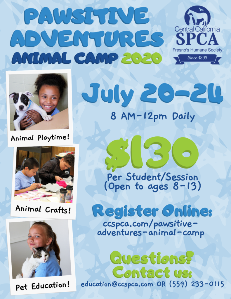 Summer Camp 2020 UPDATED Central California SPCA, Fresno, CA
