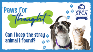 News Updates โ Central California SPCA, Fresno, CA News Updates โ Central California SPCA, Fresno, CA
