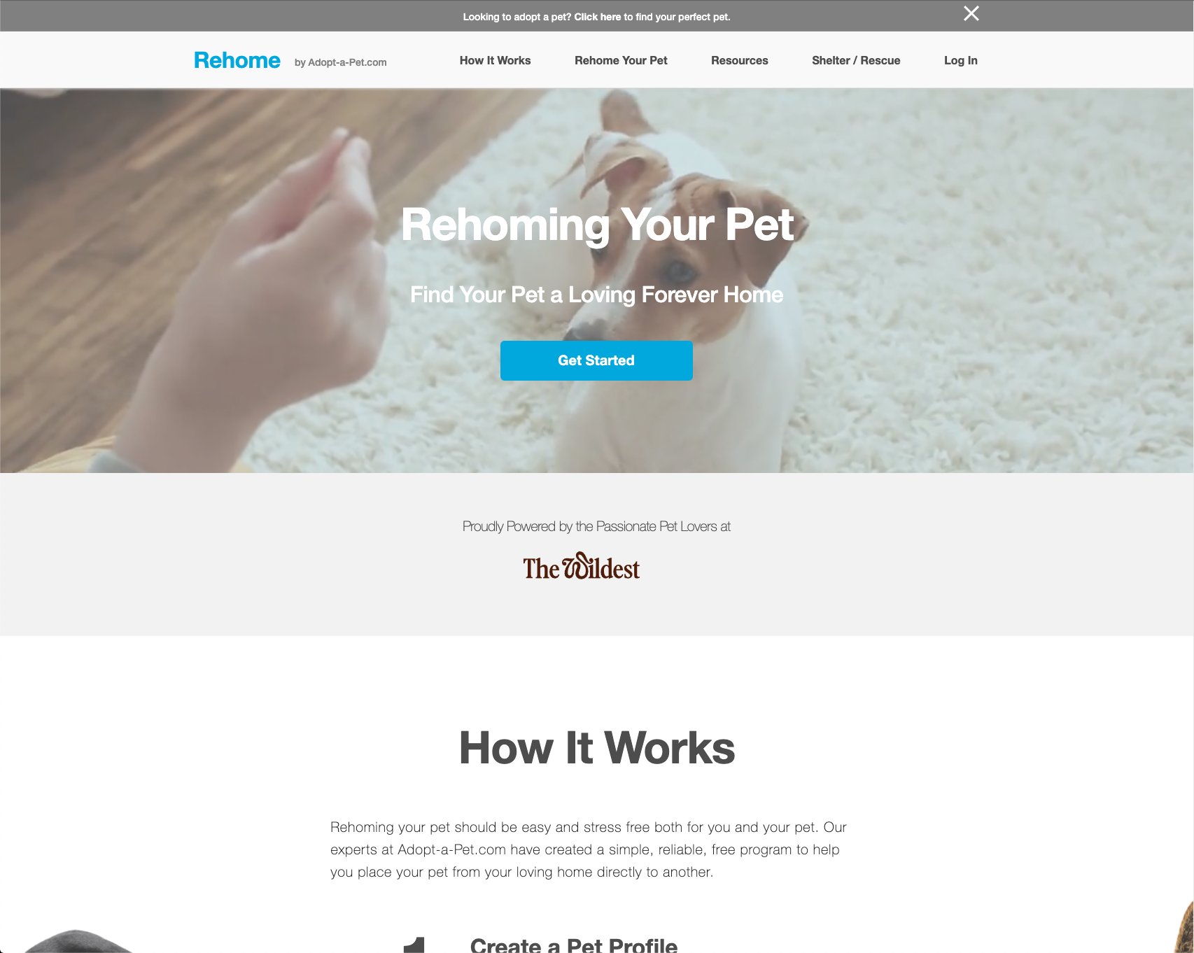 adopt a pet
