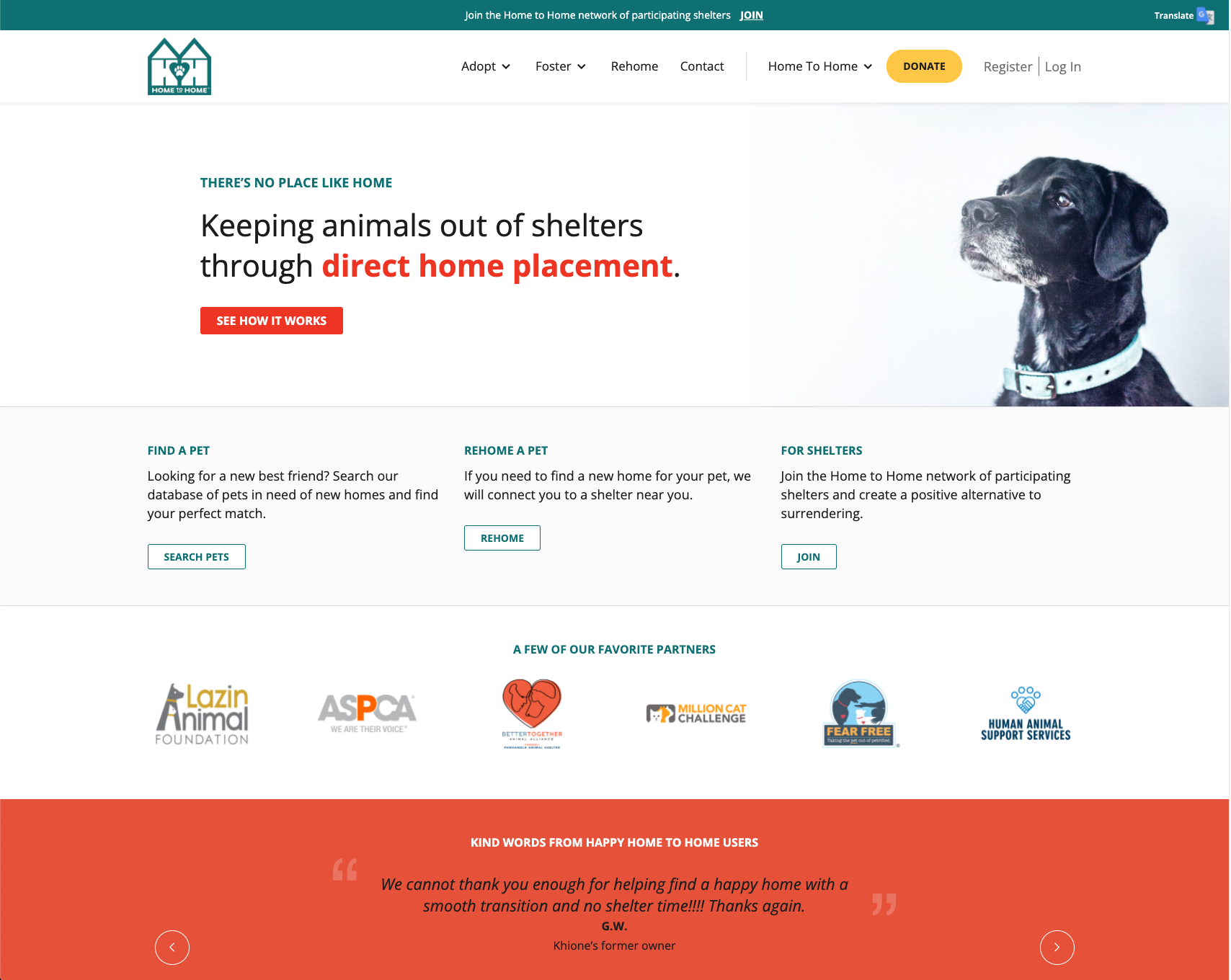 adopt a pet