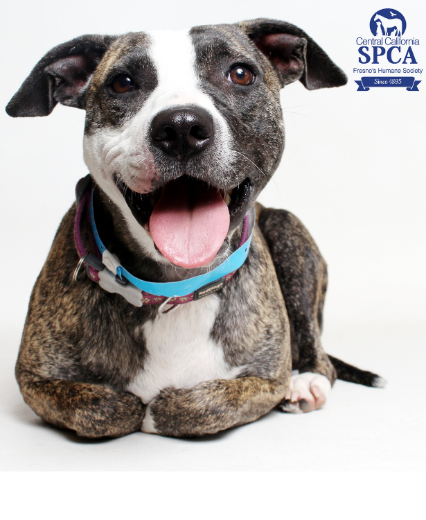 Daisy A49939994
