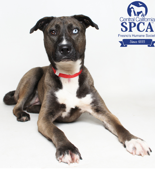 Sarah Jessica Barker A49881052