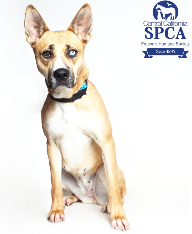Luna A48088446