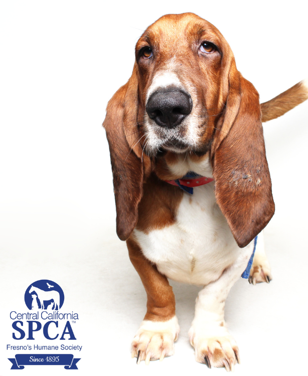 Henry A50323053
