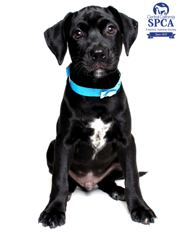 Sam A51036283