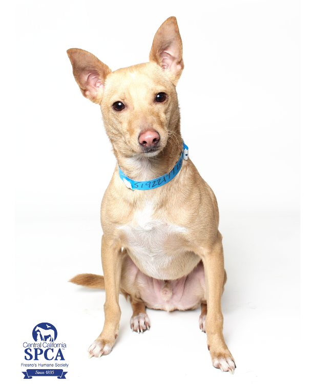 Leo A51922177