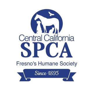 ccspca